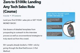 BowtiedCocoon-Zero-to-100k-Landing-Any-Tech-Sales-Role
